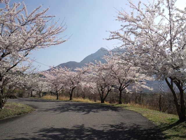 Itsubinosato Yufu Exterior foto